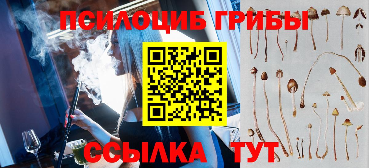 Фрязино  Псилоцибиновые грибы ЛСД  Псилоцибиновые грибы мицелий  Вход с VPN 